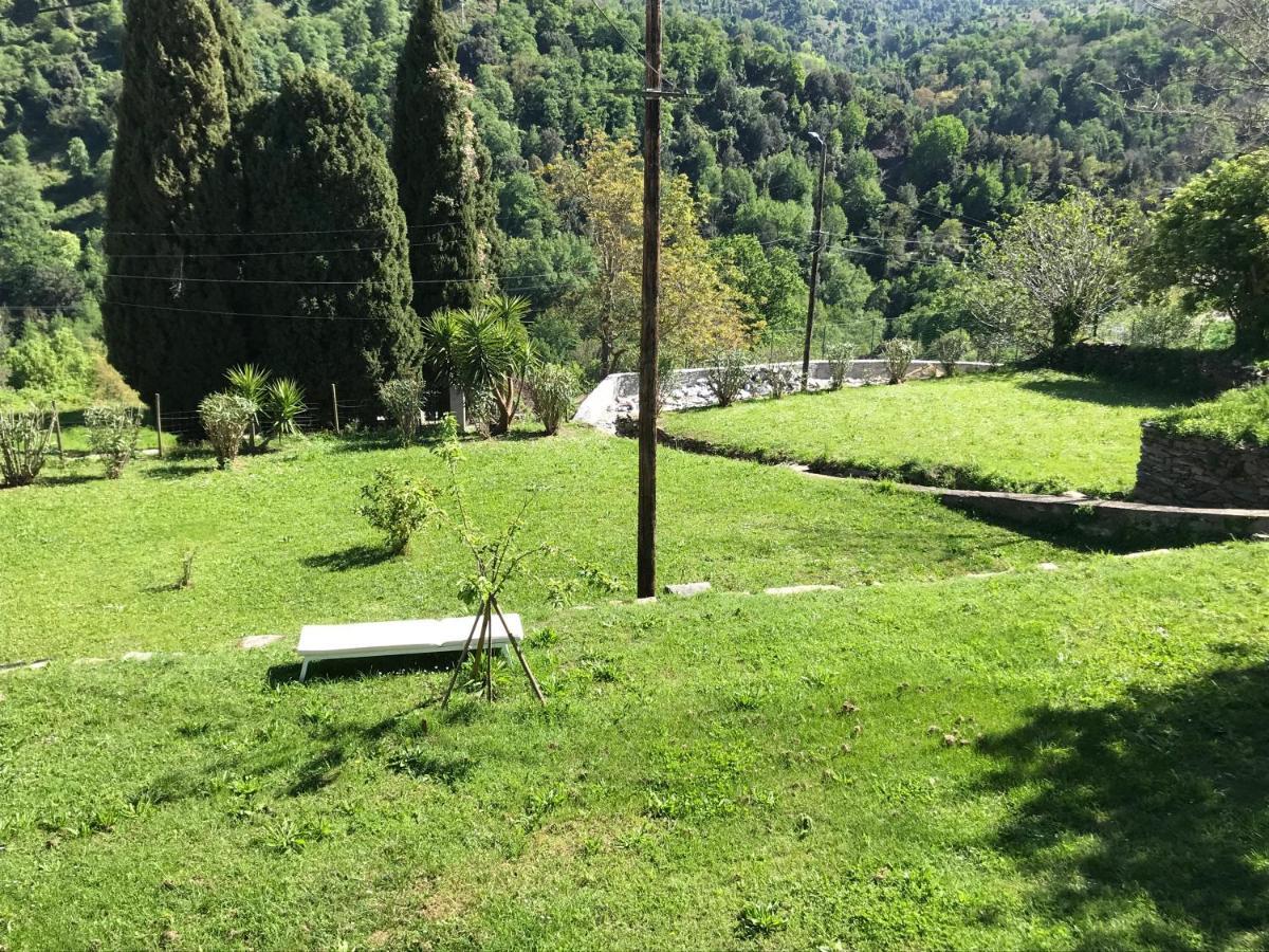 Maison De Charme Corse Sauvage Pietra-di-Verde Esterno foto