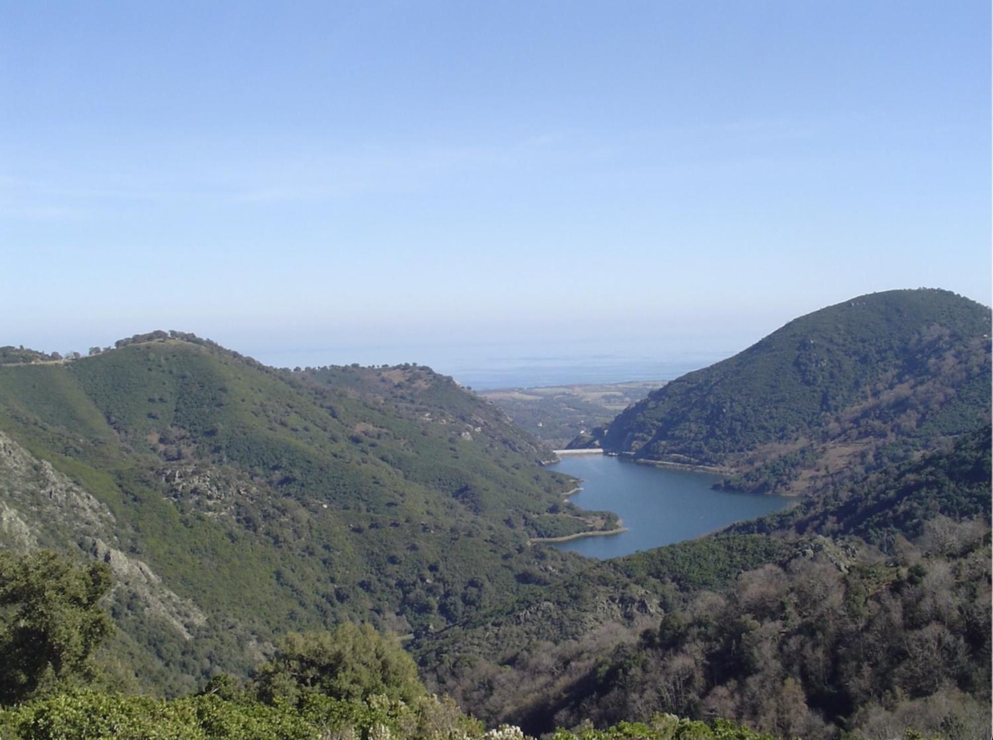 Maison De Charme Corse Sauvage Pietra-di-Verde Esterno foto