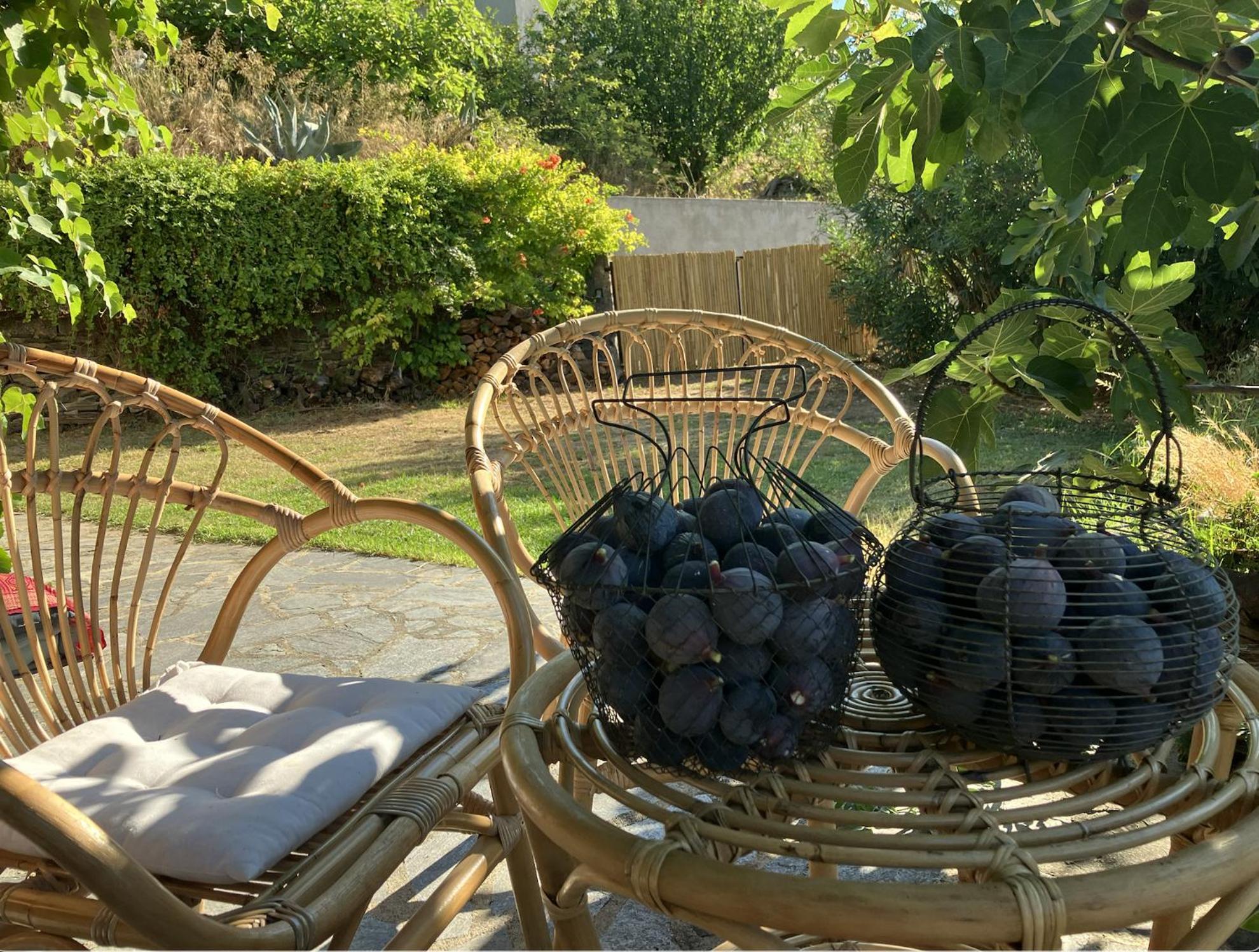 Maison De Charme Corse Sauvage Pietra-di-Verde Esterno foto