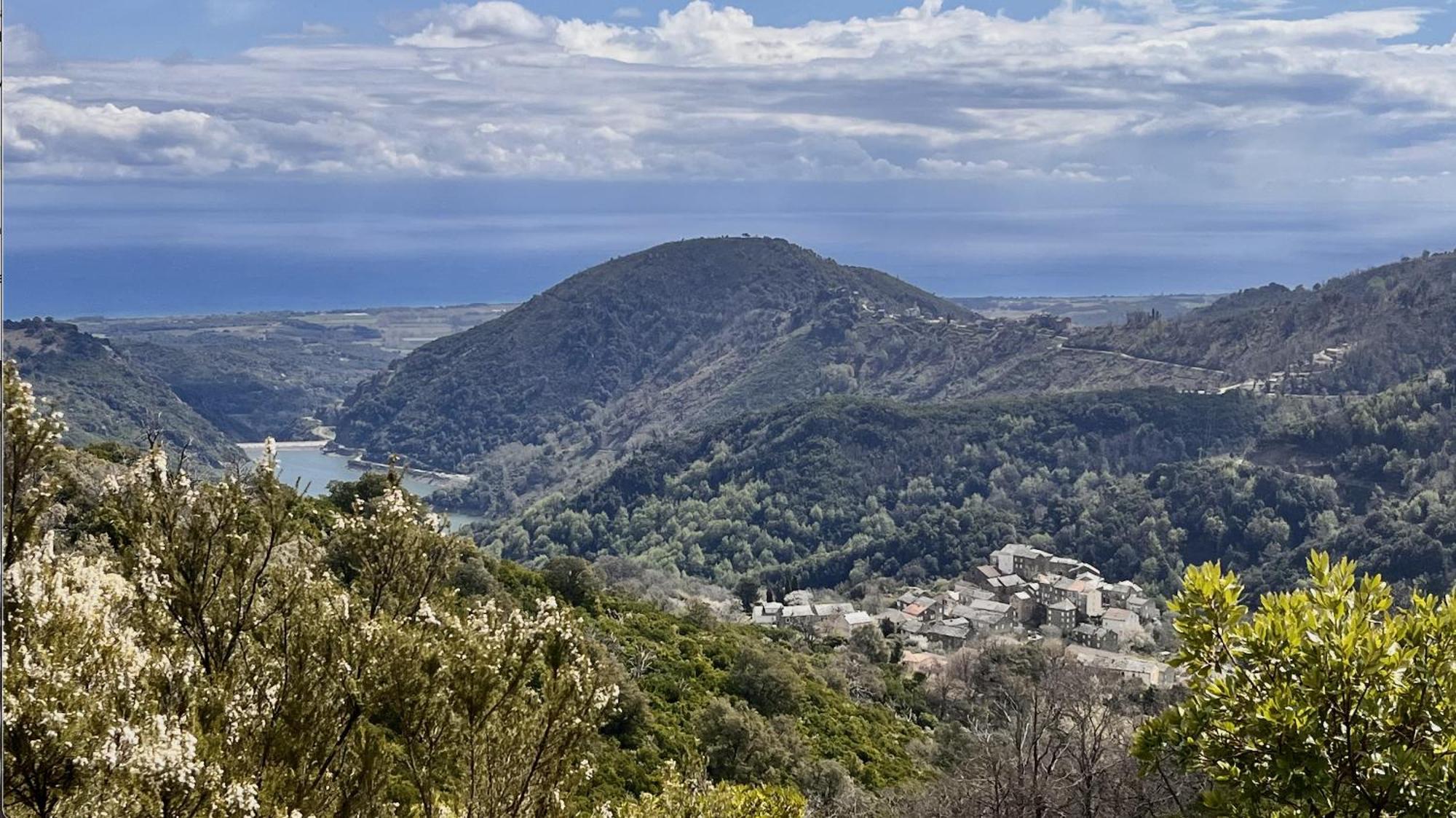 Maison De Charme Corse Sauvage Pietra-di-Verde Esterno foto