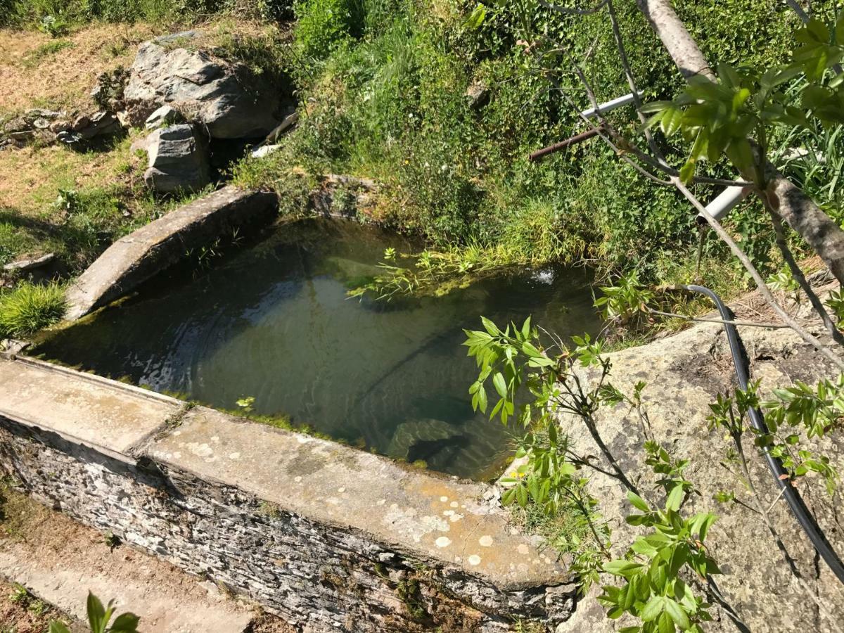 Maison De Charme Corse Sauvage Pietra-di-Verde Esterno foto