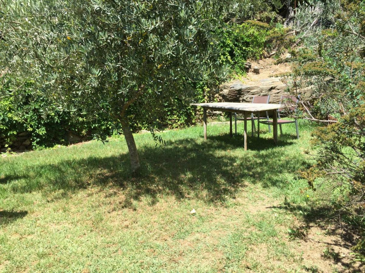 Maison De Charme Corse Sauvage Pietra-di-Verde Esterno foto