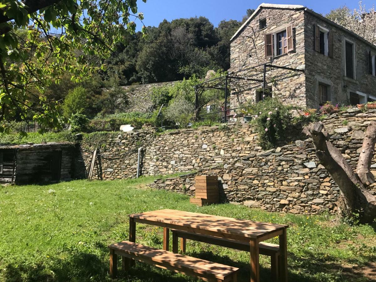 Maison De Charme Corse Sauvage Pietra-di-Verde Esterno foto